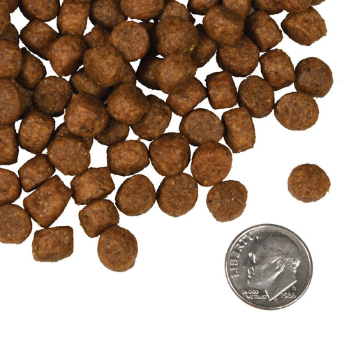 Fromm Four-Star Dry Dog Food - Salmon Tunalini - 4lb Bag